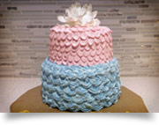Baby Shower Cakes