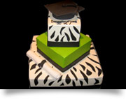 Graduation Cakes